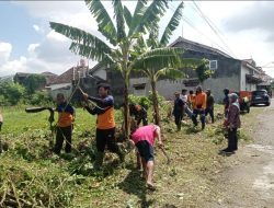 Tumbuhkan Kebersamaan Dan Gotong Royong, Babinsa Sumber Bersama Tim Saberling Dan Warga Bersihkan Lingkungan