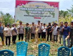 Desa Lewonu Gelar Panen Raya Jagung Serentak, Babinsa Serda Ayub Ajak Warga Dukung Ketahanan Pangan