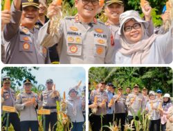 Kapolres Barru Pimpin Pelaksanaan Panen Jagung Kuartal III Tahun 2025 Di Desa Libureng