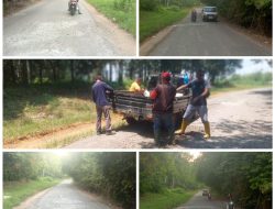 PT. PERKEBUNAN NUSANTARA 1 REGIONAL 7 KEBUN BERINGIN ADAKAN PERBAIKAN JALAN.