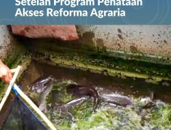 Mengenal Desa Rejoagung, Potensi Desa Meningkat Setelah Program Penataan Akses Reforma Agraria