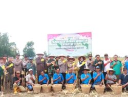 Kapolres Lampung Timur Hadiri Panen Raya Kuartal III 2025, Dukung Swasembada Pangan Nasional