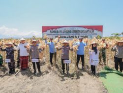 Kapolda Jatim dan Forkopimda Panen Raya Jagung Kuartal III Banyuwangi Surplus Pangan 4 kali Lipat