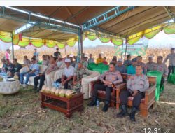 Dukung Ketahanan Pangan Nasional, Kapolres Dompu Laksanakan Panen Raya Jagung Kuartal III Di Desa Kempo.