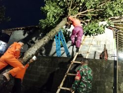 Hujan Deras Disertai Angin Kencang Robohkan Pohon di Boyolali, Babinsa dan BPBD Gerak Cepat Bantu Warga