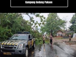 Polisi Evakuasi Pohon Jati Tumbang di Jalinsum Kampung Gedung Pakuon