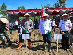 Wujudkan Swasembada Pangan, Bupati Bersama Kapolres Tanam Benih Jagung di Humbang Hasundutan