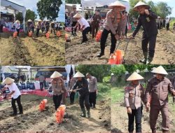 Polres Bangka Barat Pulihkan Lahan Bekas Tambang dengan 14 Ton Kotoran Ayam dan 3 Ton Kapur Dolomit