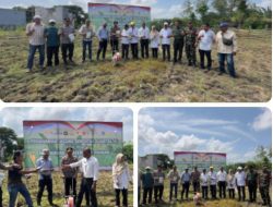 Sinergi Polri dan Petani, Polres Dompu Laksanakan Penanaman Jagung Serentak Kuartal IV Tahun 2025.