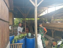 Babinsa Juwangi Dampingi Peternak Kambing, Dorong Peningkatan Kesejahteraan Warga