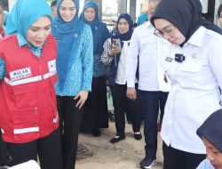 Ketua PMI Provinsi Lampung Batin Purnama Wulan Sari Serahkan Bantuan Kursi Roda dan Alat Dengar di Way Kanan