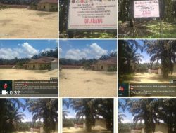 Diduga Lahan Perkebunan Kelapa Sawit HR. 380 Hektar Didalam Kawasan HP.