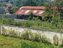 Warga Mekarsari Cikawung Baleendah Keluhkan Polusi Udara dari Ternak Yang Berada Ditengah tengah Pemukiman