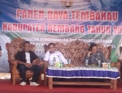 PANEN RAYA TEMBAKAU KABUPATEN REMBANG TAHUN 2025