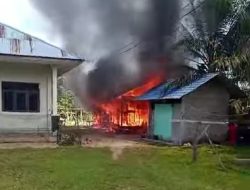 Sijago Merah Lalap Rumah Ustadz Di Komplek Pasantren Darul Istiqomah GTT
