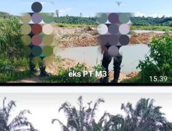 Berburu “EMAS” Eks. Tambang PT M3/Batang Lobung Penambang Pribumi Semakin Liar ?!