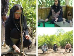 Soroti Banyaknya Kawasan Hutan yang Jadi Lahan Sawit, Novita Hardini: Cita-cita Indonesia Jadi Negara Mega Biodiversity & Destinasi Ekowisata Kelas Dunia akan Terkikis