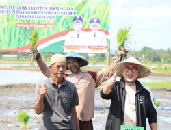 Wabup Bantaeng: Padi Genjah Jadi Solusi Tingkatkan Produksi dan Ketahanan Pangan