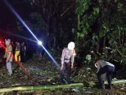 Reaksi Cepat Tim SAR Sat Brimob Polda Jabar Evakuasi Pohon Tumbang di Sumedang