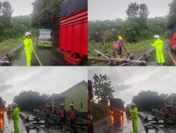 Satlantas Polres Way Kanan Evakuasi Tiang Listrik Tumbang Tutupi Jalinsum Suka Negeri