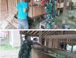 Babinsa Koramil Kemusu Dorong Peternak Kambing Tingkatkan Kebersihan Kandang dan Produktivitas