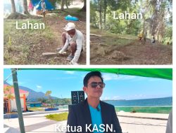 Lahan Cengkeh 600 Hektare Warisan Alm. Hi. Sadik Djafar Noch Kini Dikelola Koperasi Alam Sibela Nusantara di Halmahera Selatan