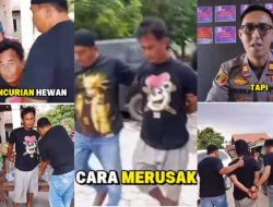 TERTANGKAP Setelah 1 Tahun Buron! Pencuri Sapi di Bumi Ratu Nuban Diringkus Polisi.