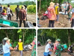 Babinsa dan PPL Nogosari Dampingi Petani Panen Padi