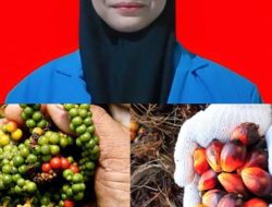 PERALIHAN PROFESI PETANI LADA MENJADI PETANI SAWIT DI BANGKA