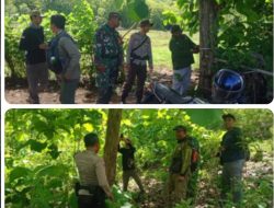 Jaga Lingkungan dan Sumber Daya Hutan, Polsek Lape Bersinergi dengan BKPH Verifikasi Potensi Jati