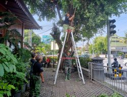 Gandeng Tim Saberling Dan Staf Kelurahan, Babinsa Ketelan Laksanakan Kerja Pembersihkan Lingkungan