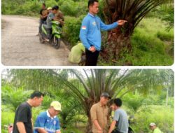 Pembangunan Gedung Koperasi Merah Putih di Desa Karang Mulya Kecamatan Lubai Ulu Merupakan Bagian dari Program Strategis Nasional