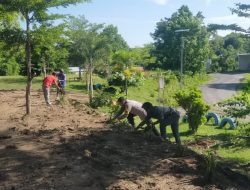 Peringati Hari Penanaman Pohon, Bhabinkamtibmas dan Elemen Desa Semamung Hijaukan Bale Kawa