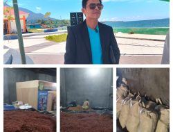 KASN Hadir Sebagai Penggerak Ekonomi: Petani Halmahera Selatan Kini Punya Pasar Pasti untuk Hasil Pertanian dan Hasil Bumi