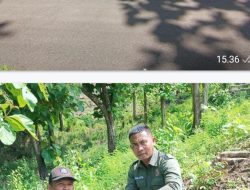 Perhutani KPH Bondowoso Bersinergitas TNI-Polri Serta Masyarakat Guna Rehabilitas Ekosistem Hutan Di Situbondo