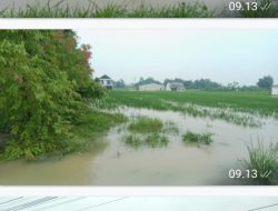 Petani Deli Serdang Butuh Uluran Pemerintah Usai Banjir dan Longsor Rusak Lahan Pertanian