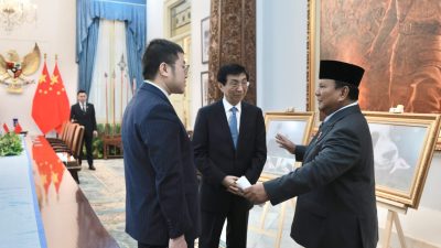 Satrio, Panda Pertama yang Lahir di Indonesia Setelah 10 Tahun Jadi Sorotan di Pertemuan Prabowo dan MPR China