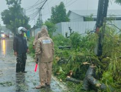 Babinsa, Bhabinkamtibmas dan BPBD Sigap Evakuasi Pohon Tumbang di Jalan Boyolali–Jatinom