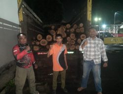 Langkah Cepat Perhutani Bondowoso Dan Polres Gerebek Aksi Ilegal Logging Di RPH Prajekan