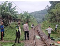 Polisi Evakuasi Korban Tertemper Kereta Api, Seorang Pejalan Kaki Meninggal di Tempat