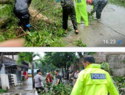 Personel Polres Barru Respon Cepat Bersihkan Pohon Tumbang Pasca Diterpa Angin Kencang