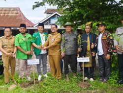 Guna Mendukung Ketahanan Pangan Aksi Sedekah Oksigen GP Ansor Dihadiri Perum Perhutani KPH Bondowoso