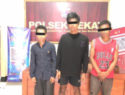 Polsek Pekat Amankan Tiga Orang Pencurian Biji Jambu Mente di Kadindi Barat.
