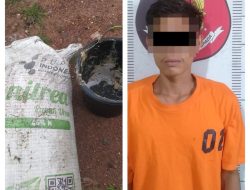 Polisi Amankan Diduga Pelaku Curi Latex 51 Kg di Kebun Karet Afdeling VII