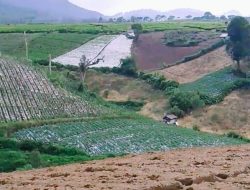 “Puluhan Hektare Blok Cikahuripan Kembali Hilang, Benarkah Lemahnya Pengawasan?!”