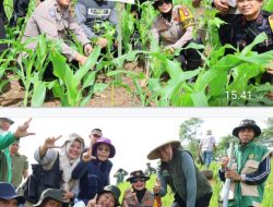 Perkuat Ekologi dan Ekonomi, Forkopimda Sumbawa Tanam Ribuan Bibit Kemiri di Lenangguar