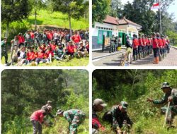 Danramil Selo Pimpin Penghijauan Lereng Merbabu, Tanam Pohon Demi Jaga Mata Air dan Cegah Longsor