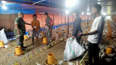 Peternak Ayam Keluhkan Harga Pakan Mahal, Babinsa Berikan Imbauan dan Dukungan