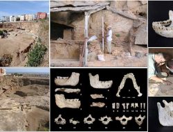 Fosil Pertama dari Periode Evolusi Manusia Ditemukan di Maroko