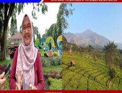 Bukit Kunir Menjadi Ikon Karena Pemandangan Khas Sekaligus Bisa Menikmati Indahnya Gunung Arjuno